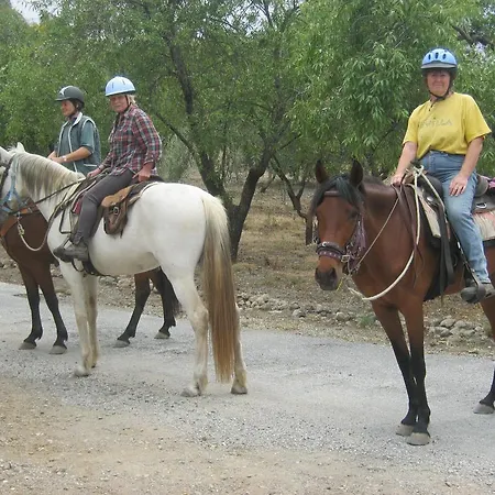 La Piedra Holidays * Alora