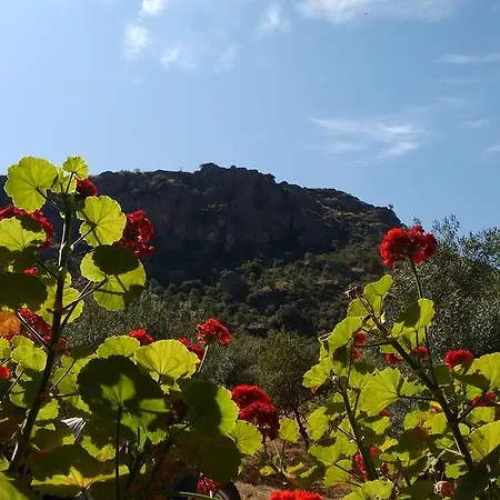 Holiday home La Piedra Holidays *